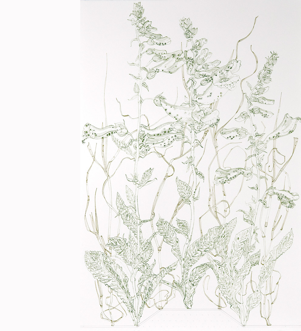 studio view - jane brennan