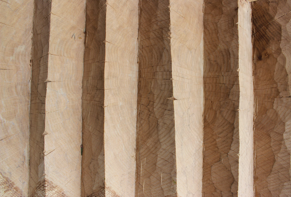 detail - mark haddon